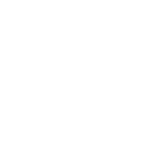 Beautiful Plumage