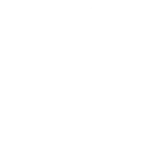 Secret Diary