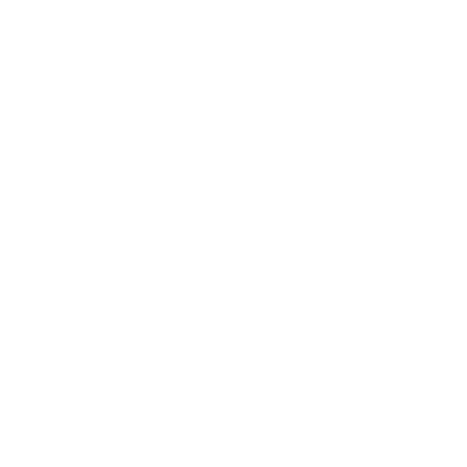 Daylight