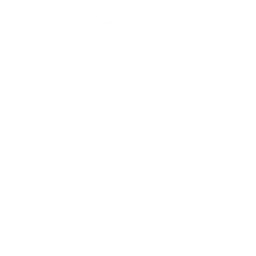 Primordial Chaos