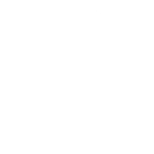 Initial Capital