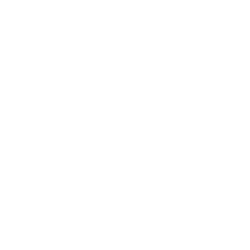Stone Skin