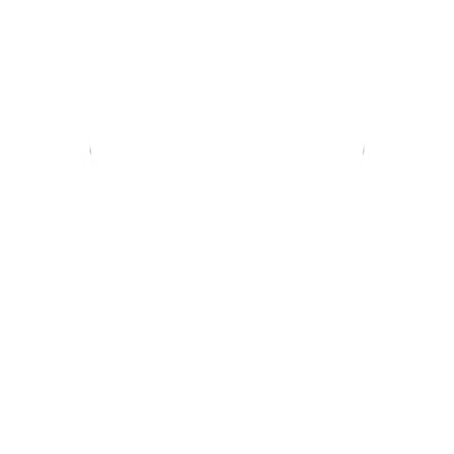 Boundless Blessing of the Great Guide