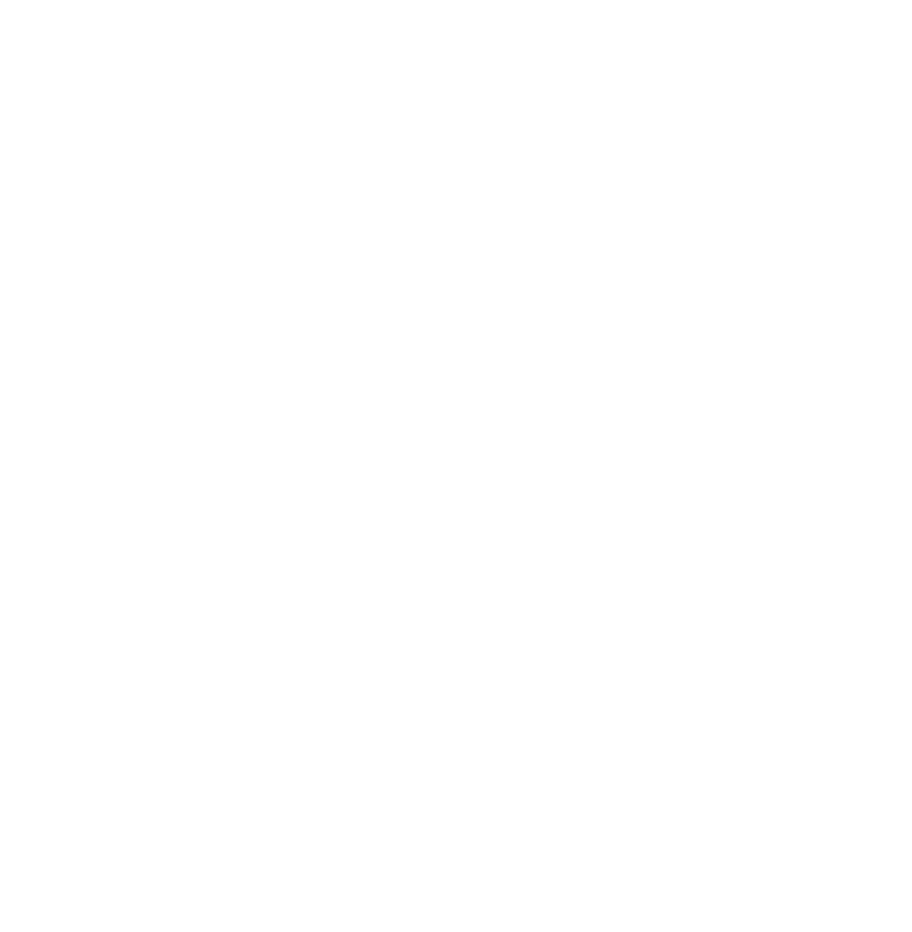 Skilled Negotiator