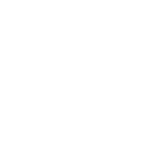 Flexible Lizard
