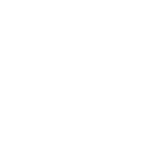 Cat Lover