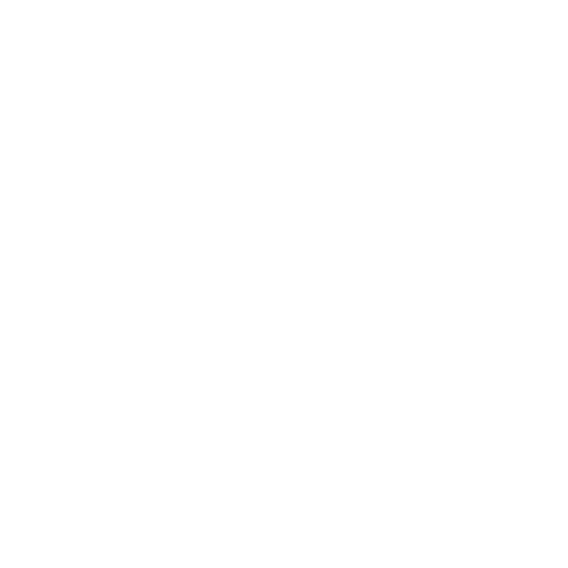 Reckless Fury