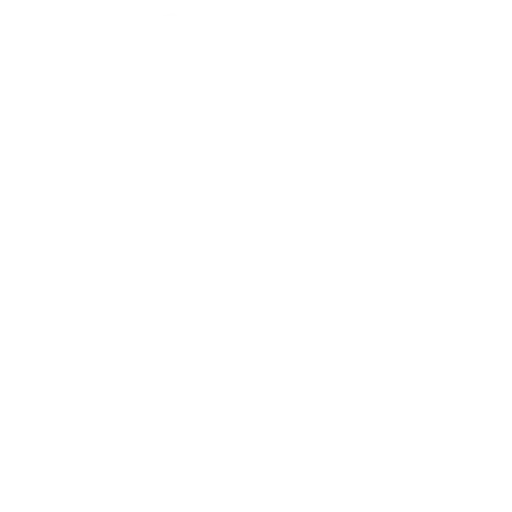 Heavy Armor Mastery
